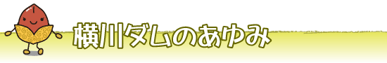 横川ダムのあゆみ